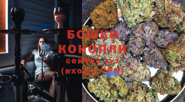 прущие крисы Осинники