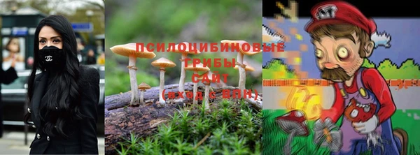 спиды Осташков
