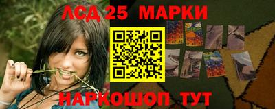 индика Гагарин