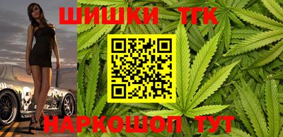 индика Гагарин