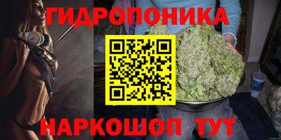 гидра Абакан