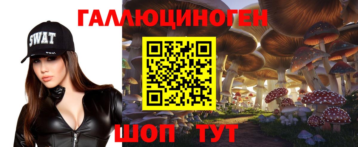 Галлюциногенные грибы Magic Shrooms  Вход с VPN  Амурск 